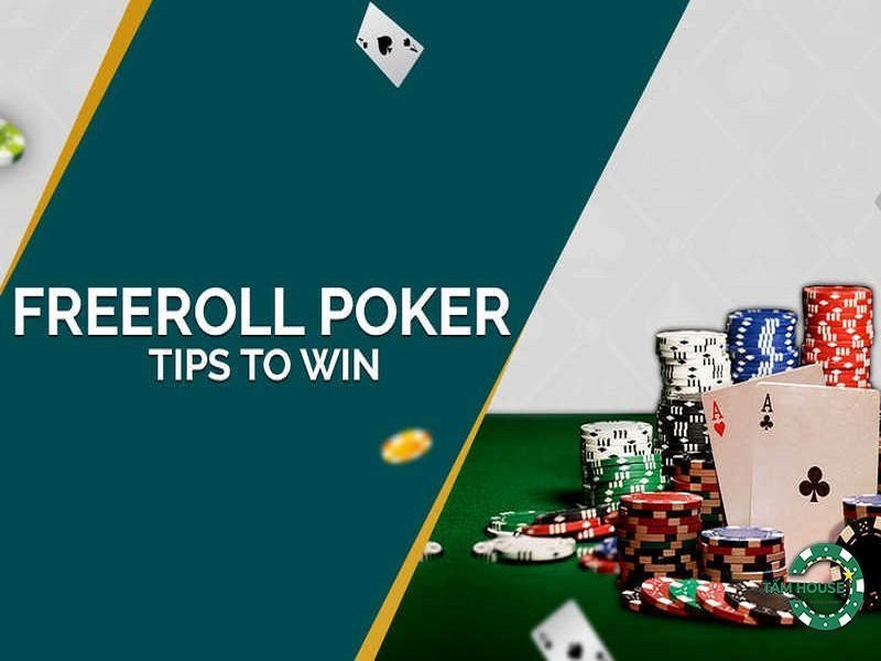Cách đặt cược poker khi chơi tournament freeroll cho người mới