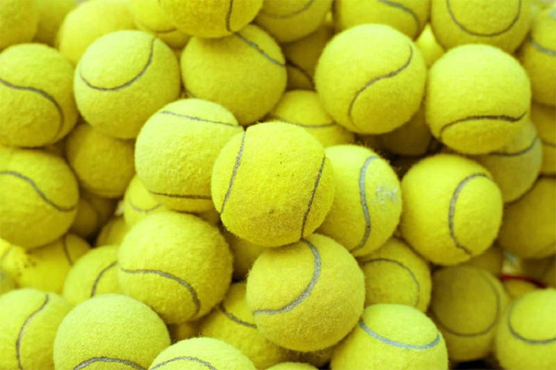 Chia sẻ kinh nghiệm cá cược tennis cho người chơi mới